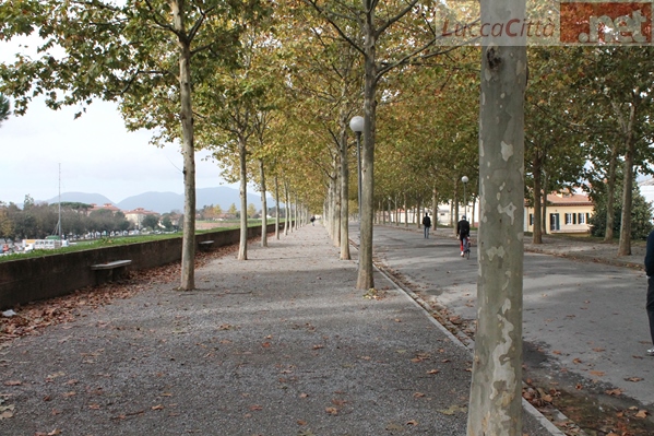 I colori autunnali delle Mura Cittadine - www.luccacitta.net