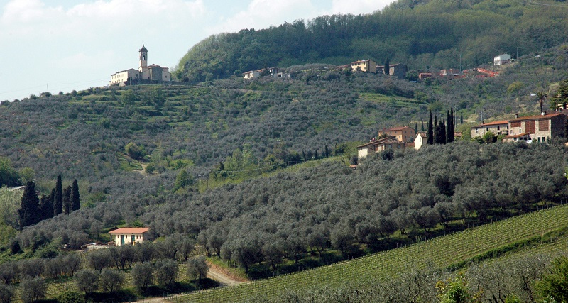colline-capannori.jpg