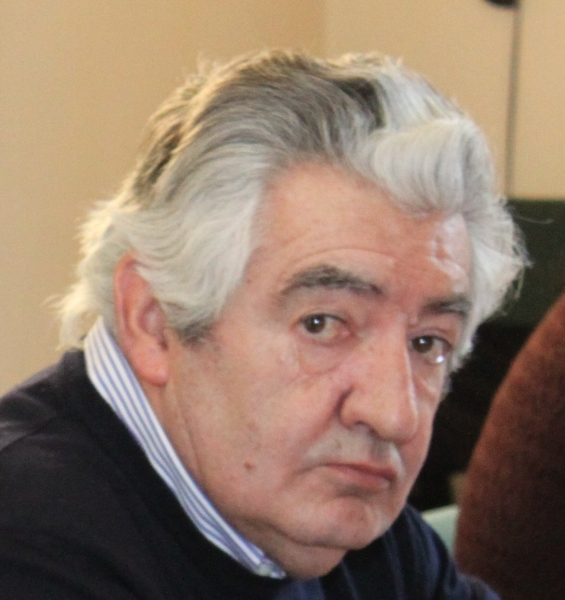 Renato Galli, Presidente Ance Lucca