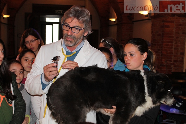 LuccAgility-e-Bianchi-(1).JPG